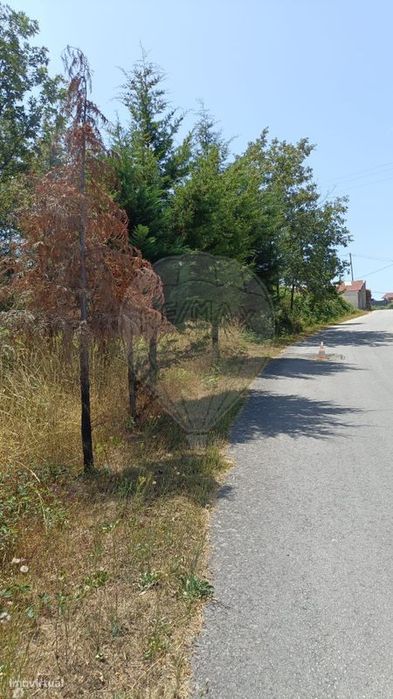 Terreno  para venda — Mões, Viseu