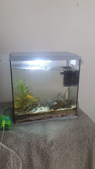 Aquário completamente novo