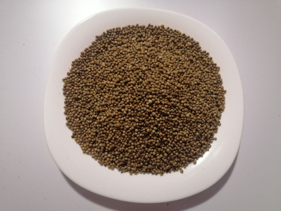 Специи и приправы