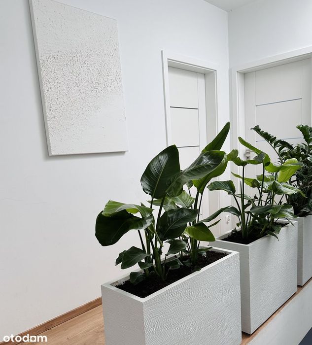 93 m² | Ogród 130 m² | Taras na dachu | Pompa ciepła | 11 min do Rynku