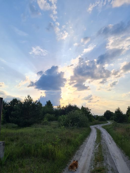 Продам або обміняю земельну  ділянку під Києвом на будинок