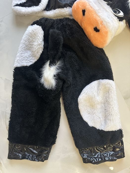 Костюми карнавальні на прокат, багато різних варіантів