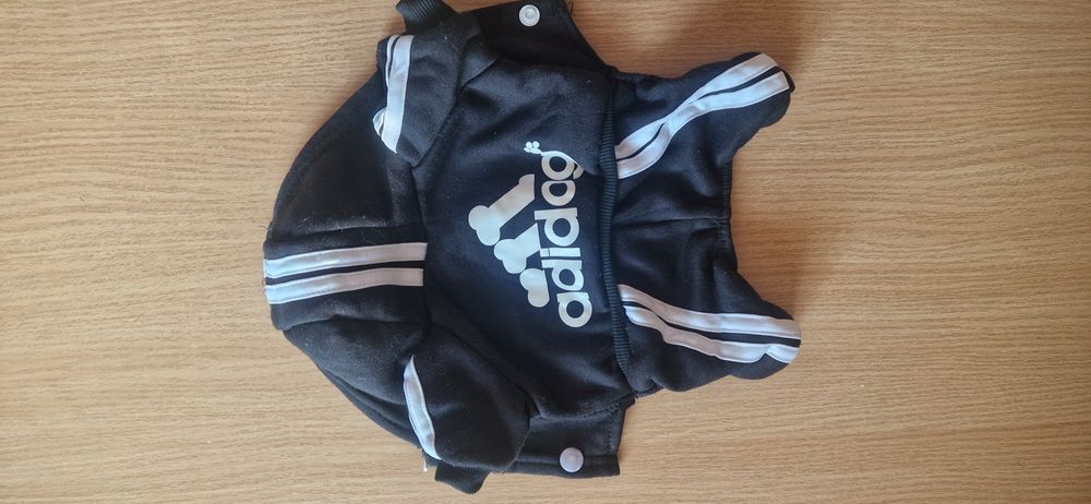 Одяг для маленьких собак