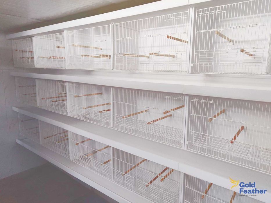 Gaiolas criação PVC - Especial Canários