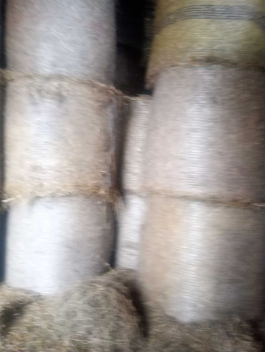 Słoma w belach że stodoly