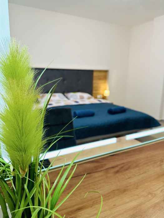 Феєрічні Апартаменти на Капушанській подобово