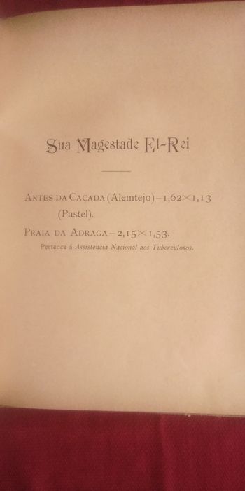 Primeira exposição catálogo ilustrado 1901. Belas-Artes. Raro