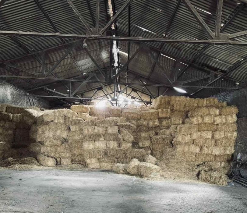 Солома ячмінна в тюках