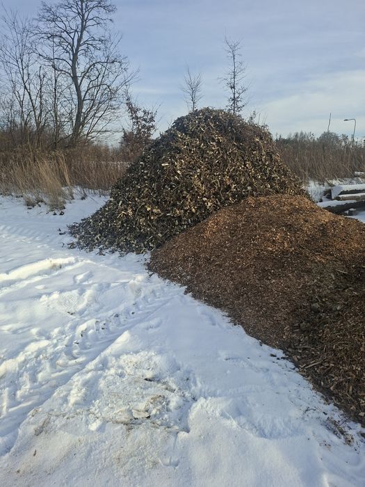 Zrębka  z olchy/wierzby/dąb
