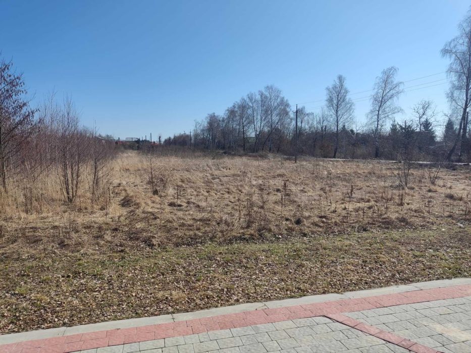 Продаж земельної ділянки у с. Липники, 43 сот, під бізнес/котеджі