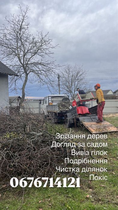 Зрізання дерев, обрізка, подрібнення, вивіз, зріз, обрізка дерев, чистка під будівництво