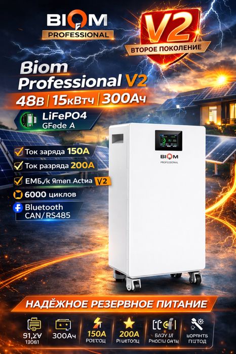 Biom Professional V2 48В 15кВтч 300Ah LiFePO4