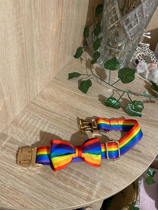 Ошийник з метеликом для собак