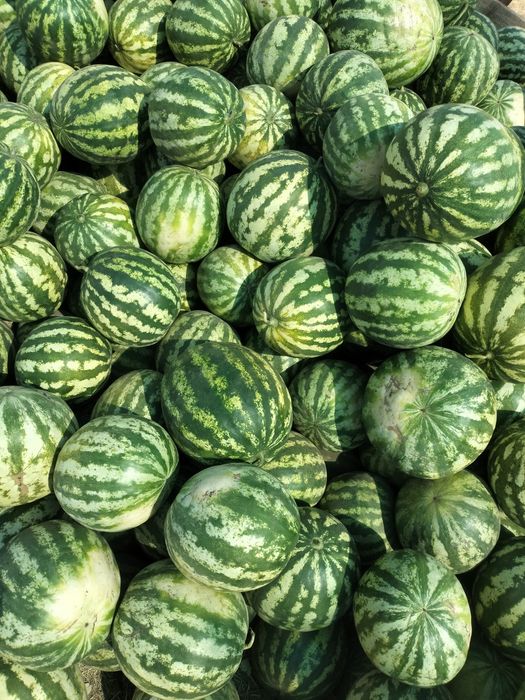 Продам кавун оптом