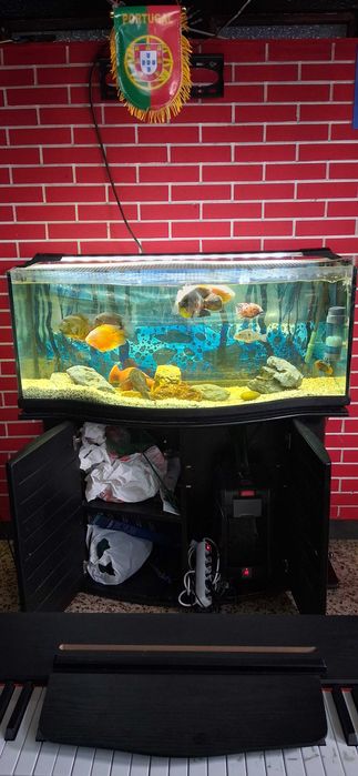 Aquarios completos para venda