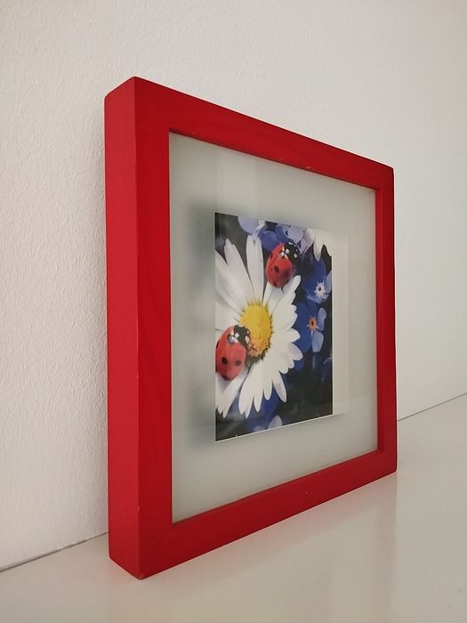 Quadro com margarida e joaninhas