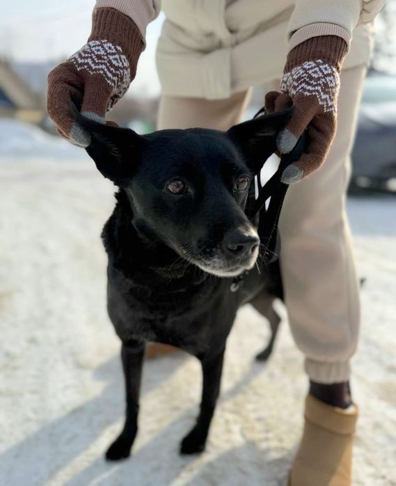 Гарна дівчинка, молодичка стерилізована