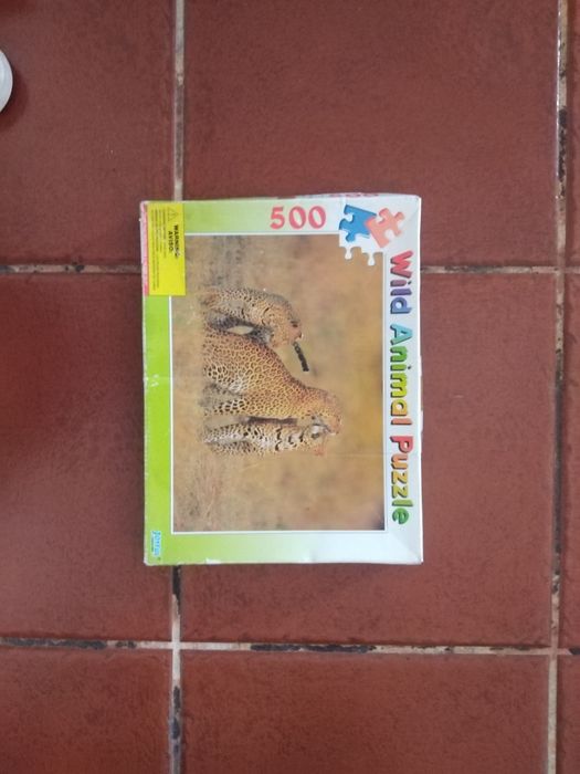 Puzzle Set64176753033731124