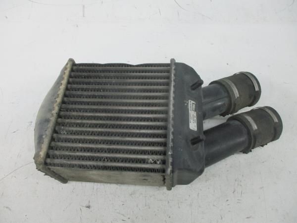 Radiador do intercooler RENAULT Megane I (BA0/1_)