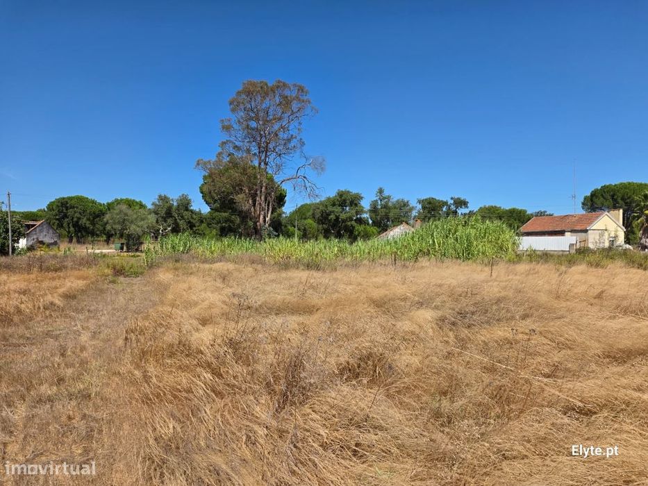 Moradia com terreno Urbano na Branca