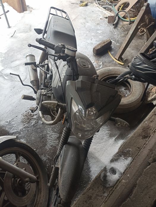 Продам мустанг регіон 150