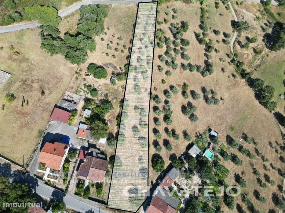 Lote de Terreno para construção em S. Pedro de Tomar