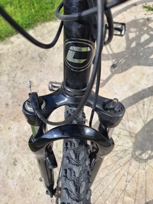 Rower MTB Curtis