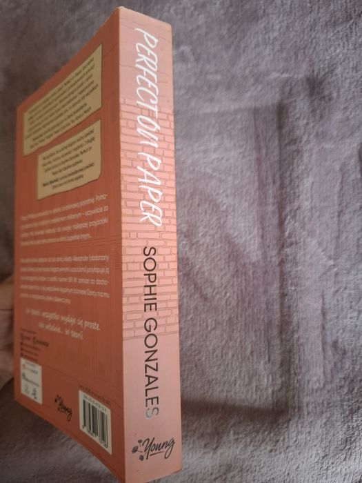 Książka "Perfect on paper"