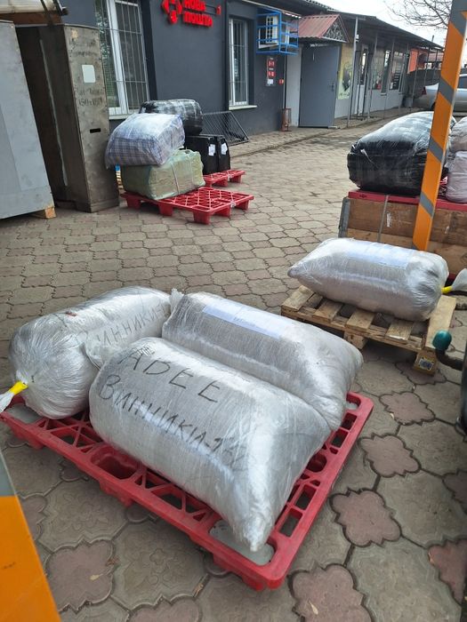 Канадська соя АББІ 1-А РЕПРОДУК на ПОСІВ! Рання Відправка НП! Делівері