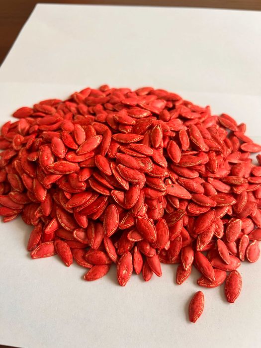 Посівне гарбузове насіння "Турка" (1 репродукція)  Протруєне