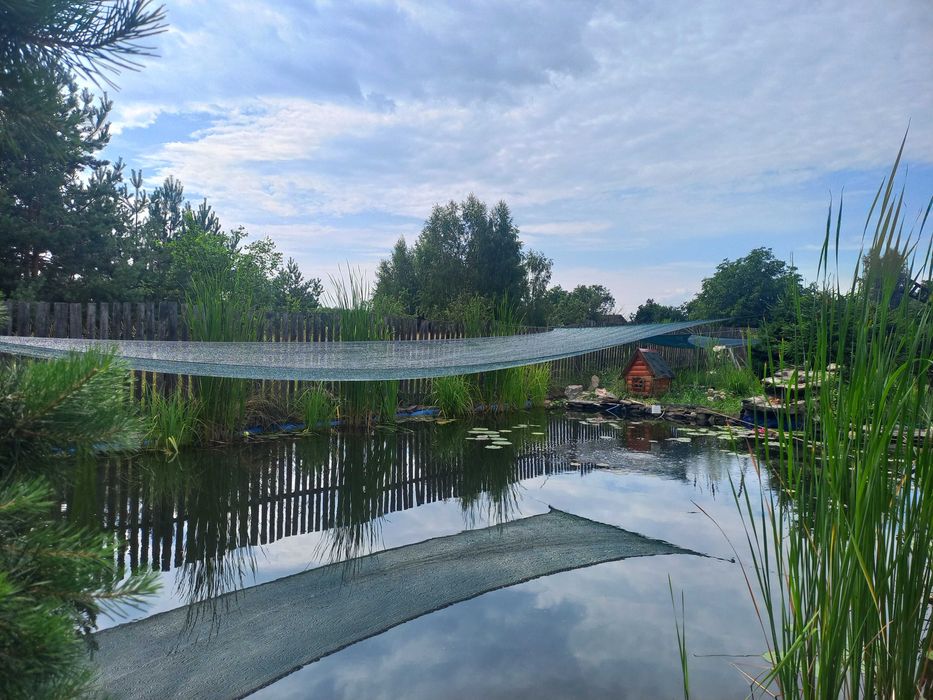 будинок подобово