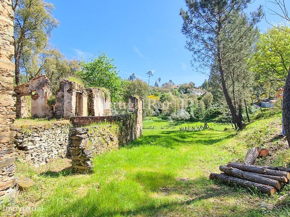 Quinta de 30.000m2 com ruínas e poços na Sertã