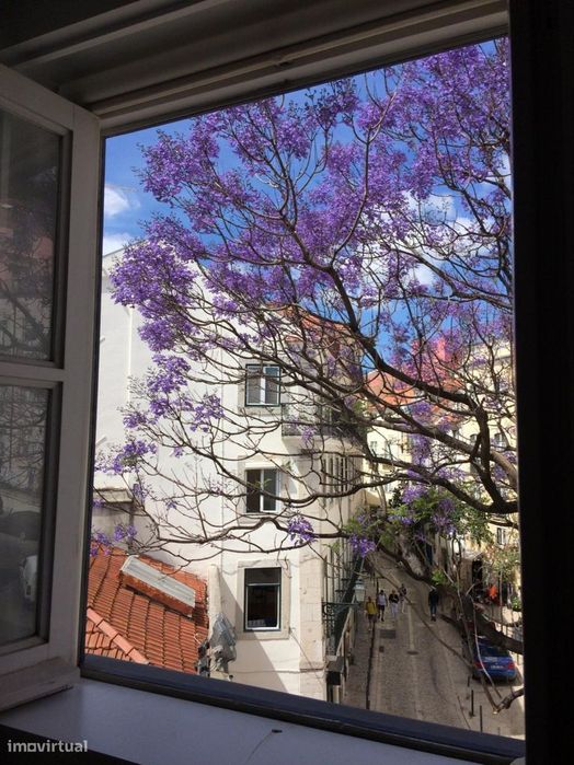Apartamento com 1 quartos - localizado em Mouraria Lisbon