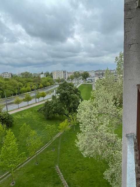 Zdjęcie 7