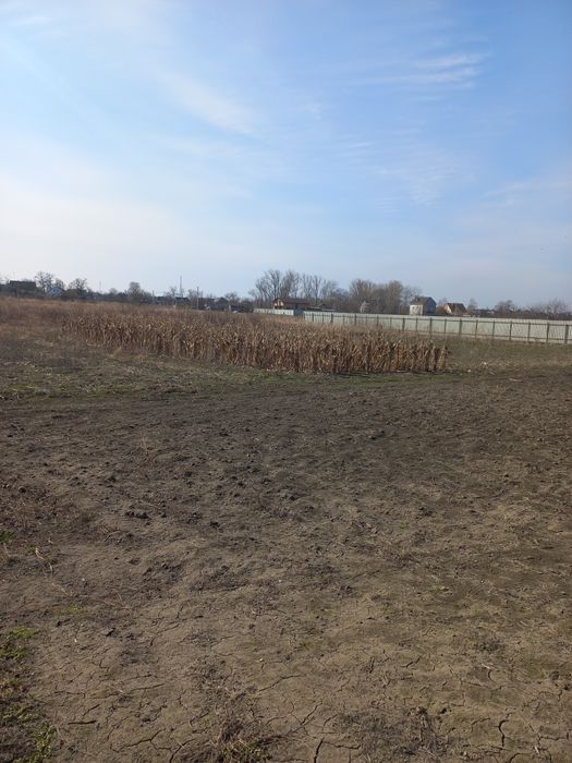 Продам земельну ділянку в с.Іванків