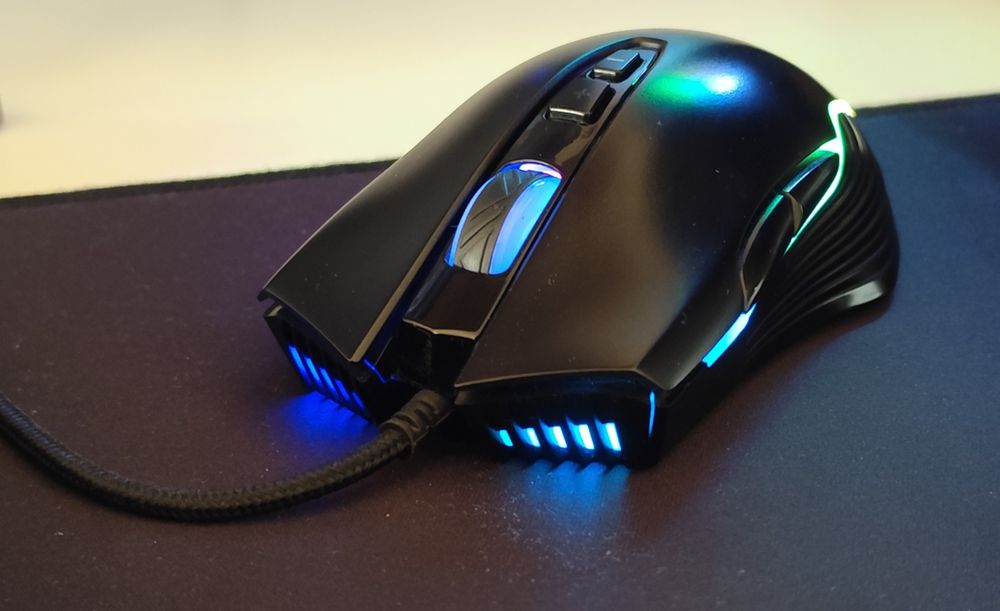 Rato Édipo - World of Gamer