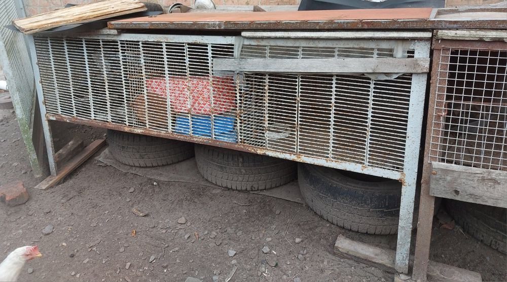 Клітки для кроликів / нутрій