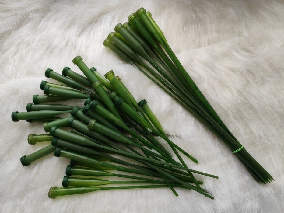 Флористу диспансери для екзотичних квітів