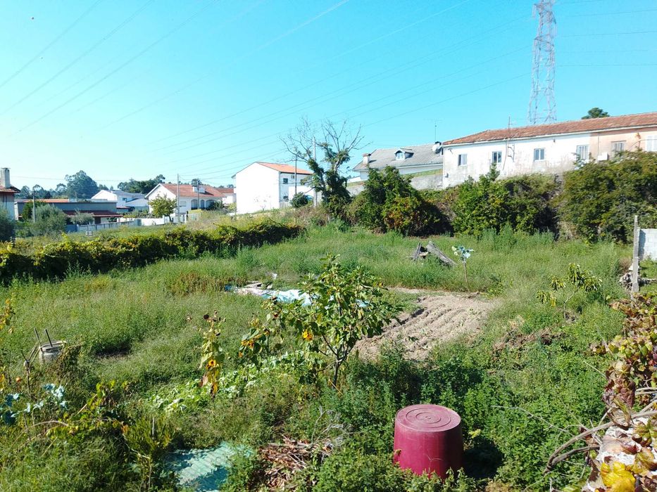 terreno 3000m2 para venda na Póvoa Guilhufe Penafiel