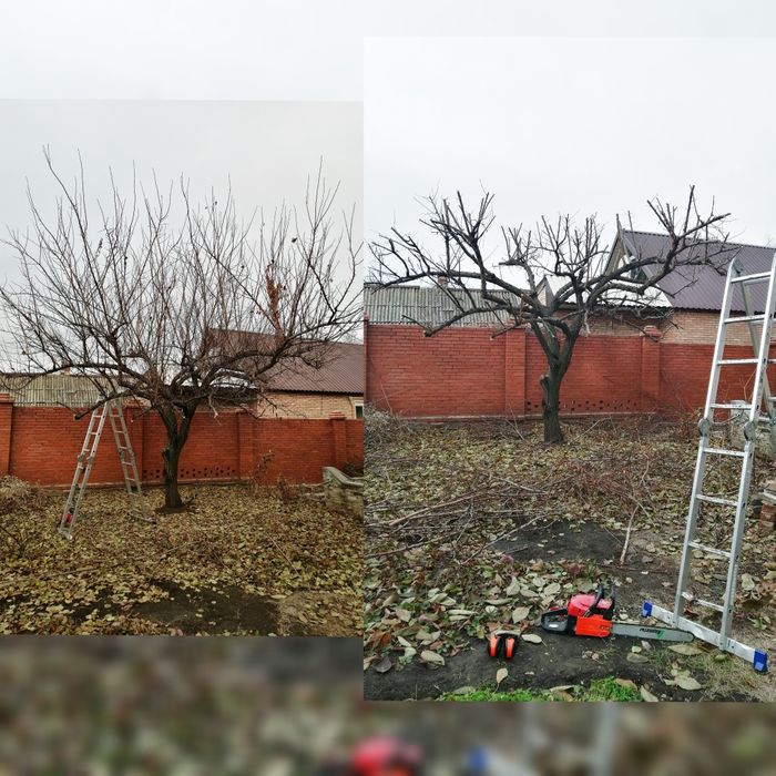 СПИЛЮдеревьяОБРЕЗКАветок/садаРАСПИ. Донецаяобл.