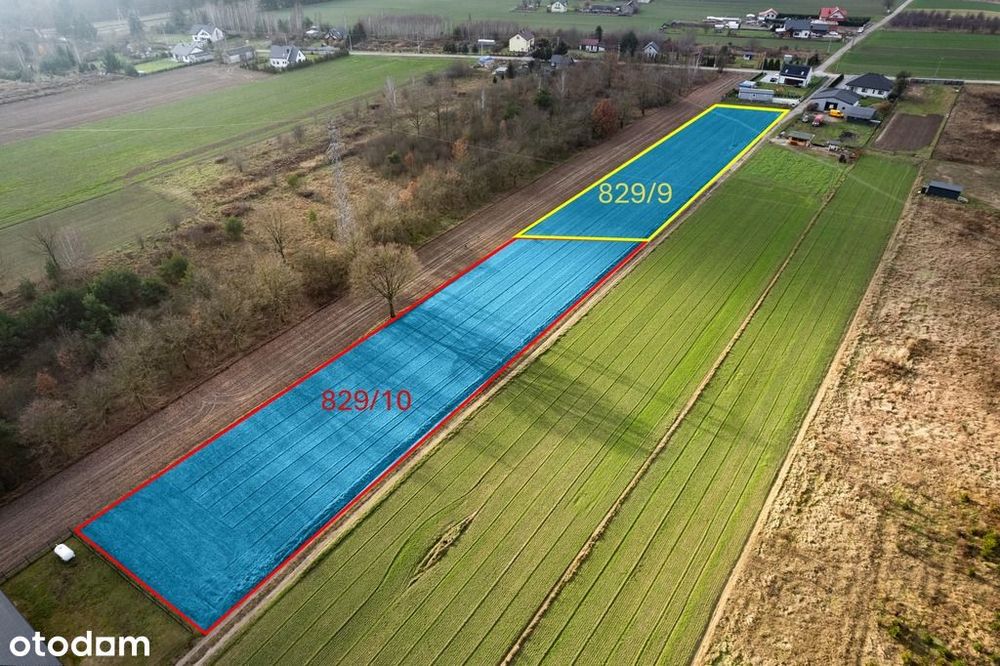 3002 m² natury i spokoju w Gręzowie