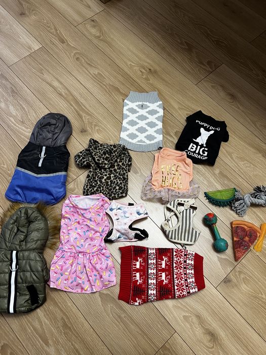 Ubranka dla psa zabawki