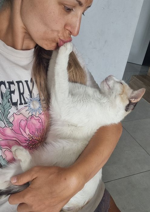 Morelka do adopcji