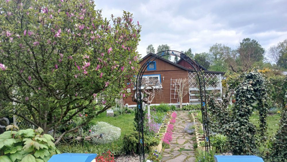Działka Rod ,,źródełko "" - Widok 4
