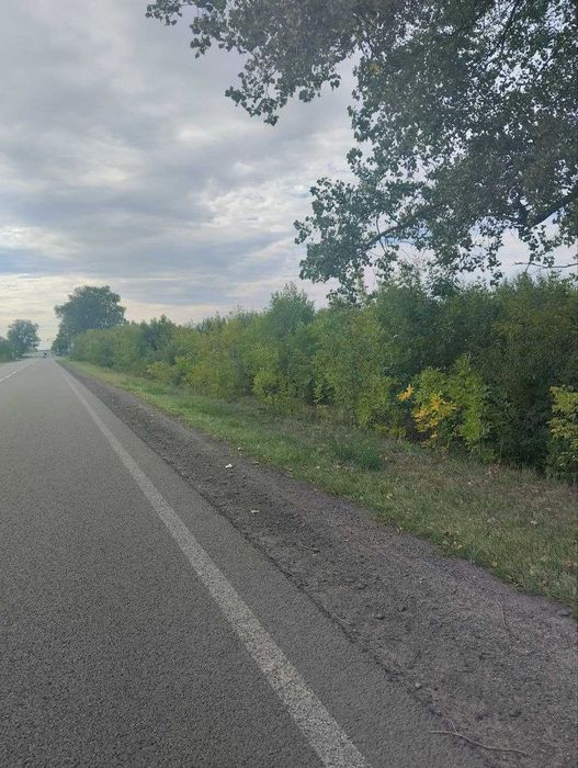 Ділянка під комерцію 99 сот, с. Литовеж