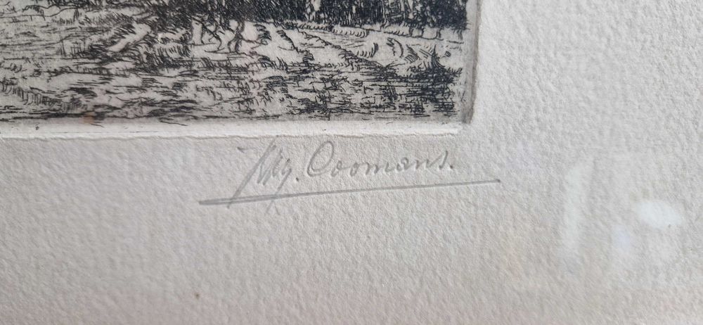 Litografia akwaforta pezjaż z drzewami aukcyjna sygnowana limitowana