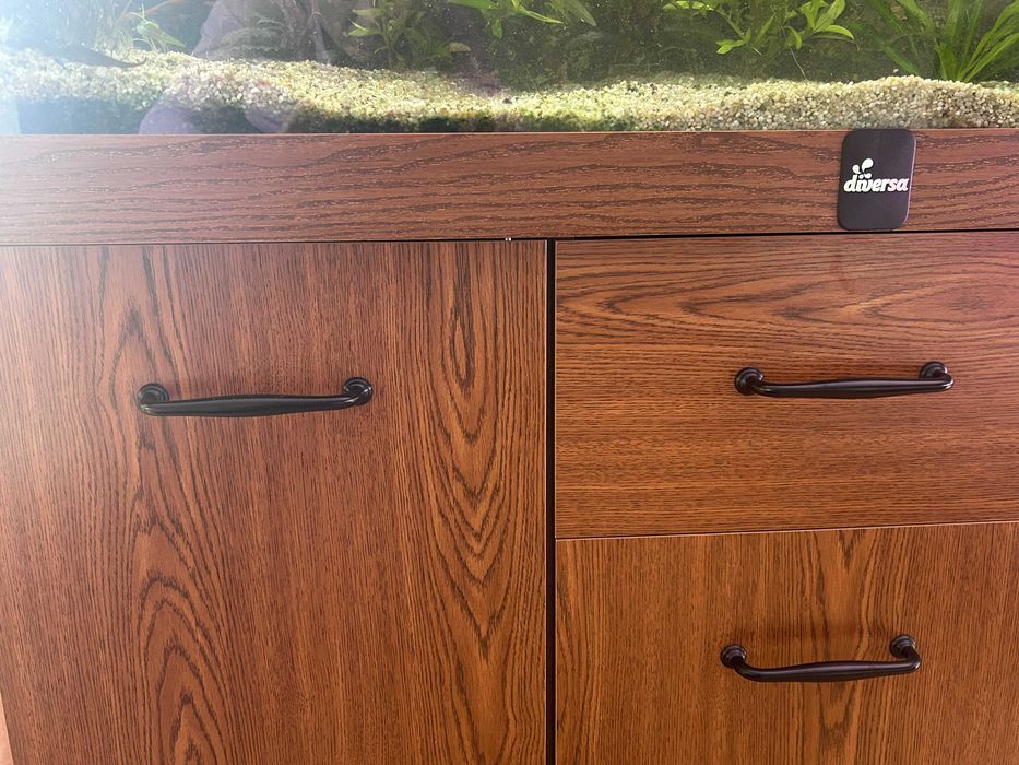 Akwarium kompletne z życiem