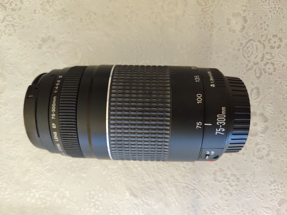 Canon 1200D + Objetiva 75-300mm