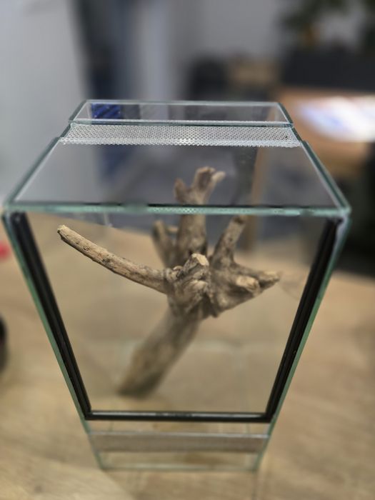 Terrarium 40x20x20 REZERWACJA