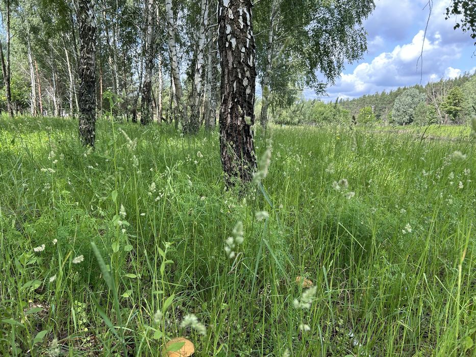 Будинок з озером